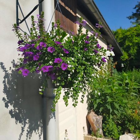 Logis51 Apartment Ville-sur-Tourbe Екстериор снимка