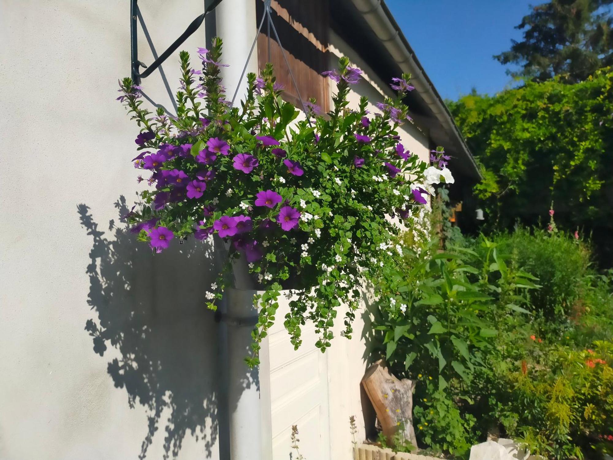 Logis51 Apartment Ville-sur-Tourbe Екстериор снимка
